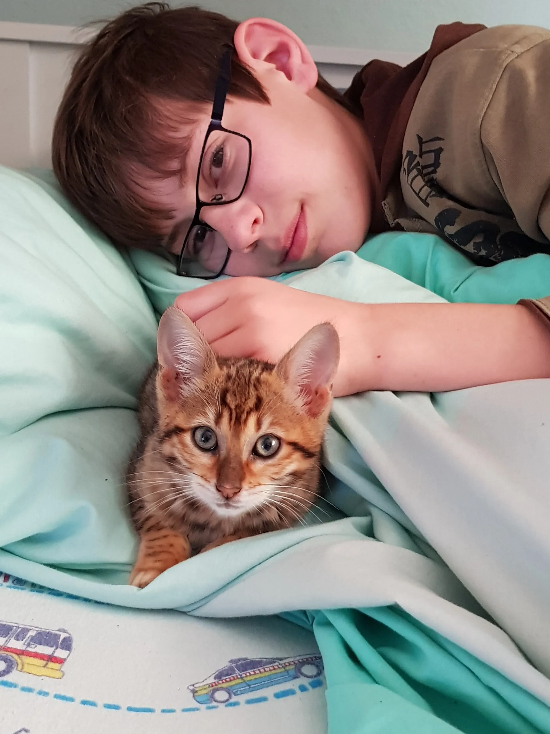 A male child snuggling on a bed with a Toyger kitten. They are both looking at the camera.